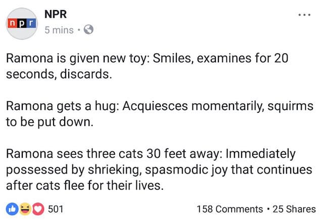 NPR social media post
